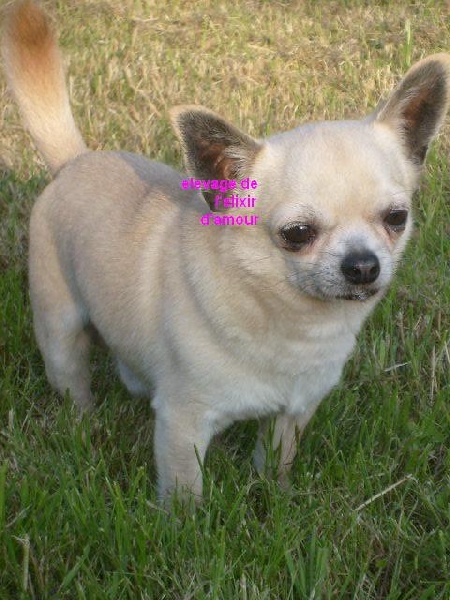 Soprano Du domaine de lomont