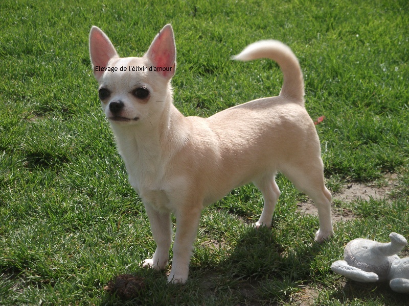 Harmony du hameau de la preuille